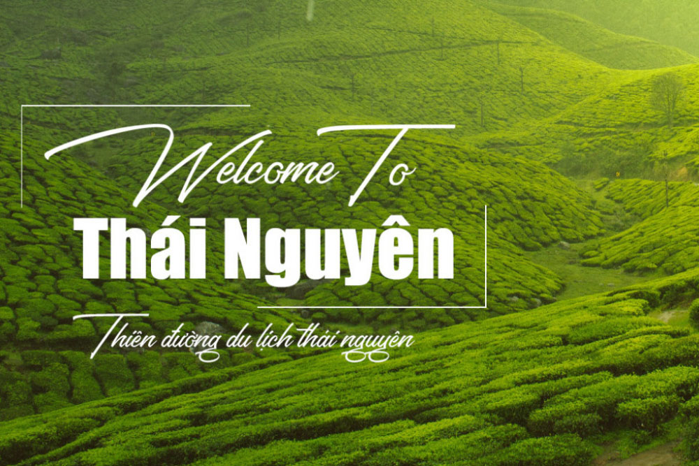 Du Lịch Thái Nguyên Từ A-Z: Điểm Đẹp, Món Ngon & Lịch Trình